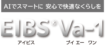 EIBS Va-1（アイビス・ブイエーワン）