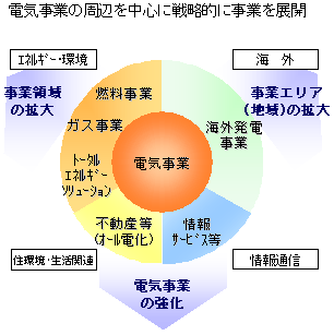 電気事業の周辺を中心に戦略的に事業を展開