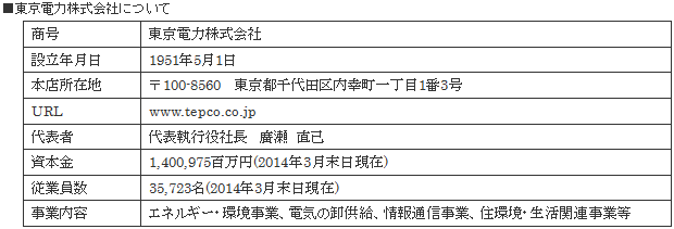 東京電力株式会社について