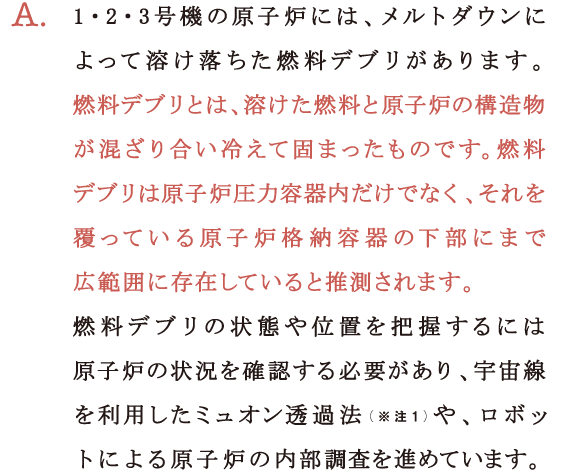 A.1・2・3号機の原子炉には、メルトダウンによって溶け落ちた燃料デブリがあります。燃料デブリとは、溶けた燃料と原子炉の構造物が混ざり合い冷えて固まったものです。燃料デブリは原子炉圧力容器内だけでなく、それを覆っている原子炉格納容器の下部にまで広範囲に存在していると推測されます。
燃料デブリの状態や位置を把握するには原子炉の状況を確認する必要があり、宇宙線を利用したミュオン透過法（※注1）や、ロボットによる原子炉の内部調査を進めています。