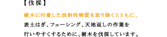 【伐採】
樹木に付着した放射性物質を取り除くとともに、表土はぎ、フェーシング、天地返しの作業を行いやすくするために、樹木を伐採しています。