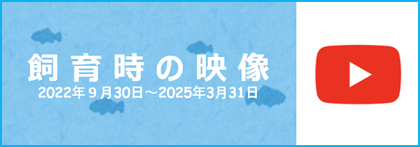 飼育の様子を24時間LIVEでご覧いただけます