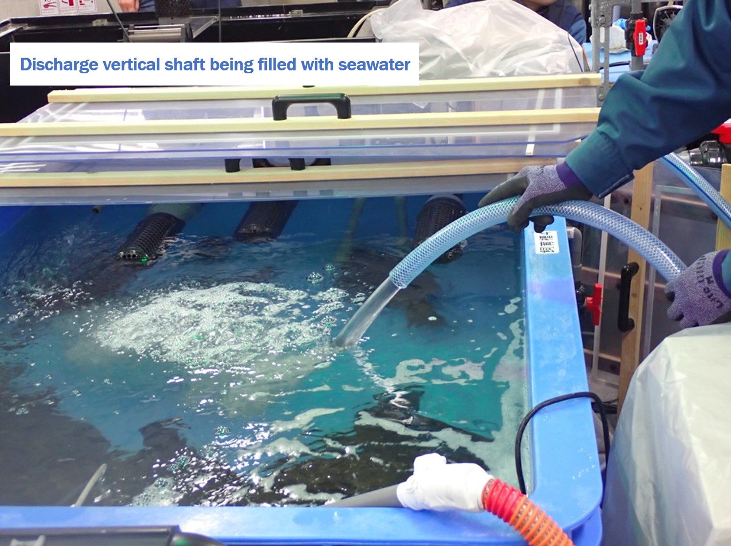 Rearing of flounders and abalones begins using water that was discharged into the environment