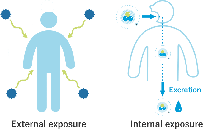 How does tritium affect the human body?