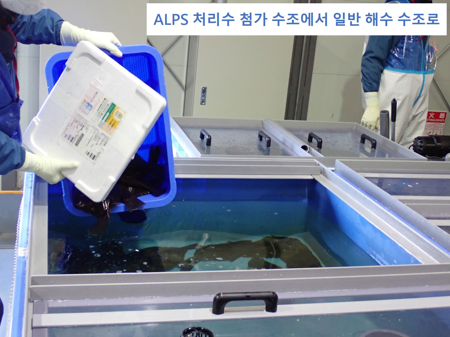 넙치의 OBT 배출 시험 시작