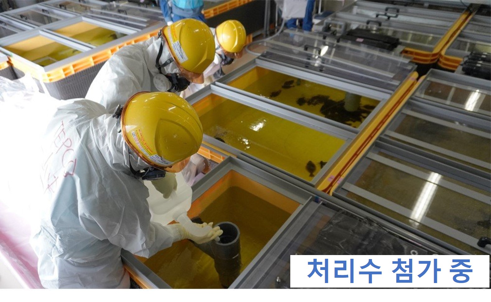 시험용 수조에 ALPS 처리수 첨가