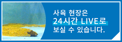 사육 현장은 24시간 LIVE로 보실 수 있습니다. 