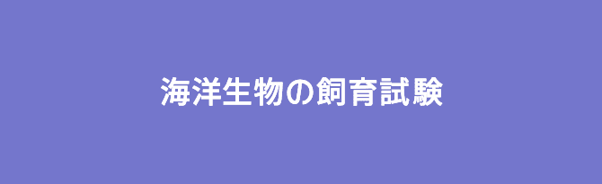 海洋生物の飼育試験