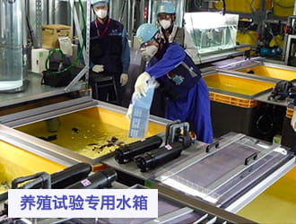 养殖试验专用水箱