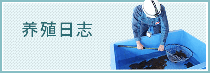 养殖日志