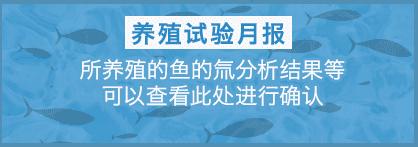 养殖试验月报