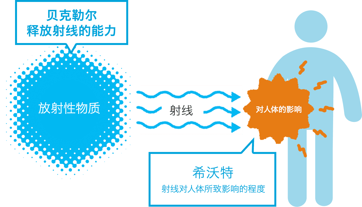 贝克勒尔与希沃特有何不同