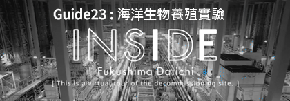 INSIDE FUKUSHIMA DAIICHI