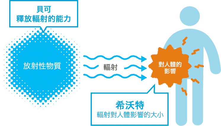 貝可與希沃特之分別
