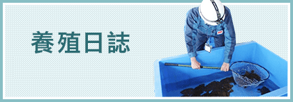 養殖日誌