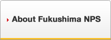 About Fukushima NPS