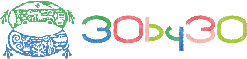 The 30 by 30 Alliance Logo