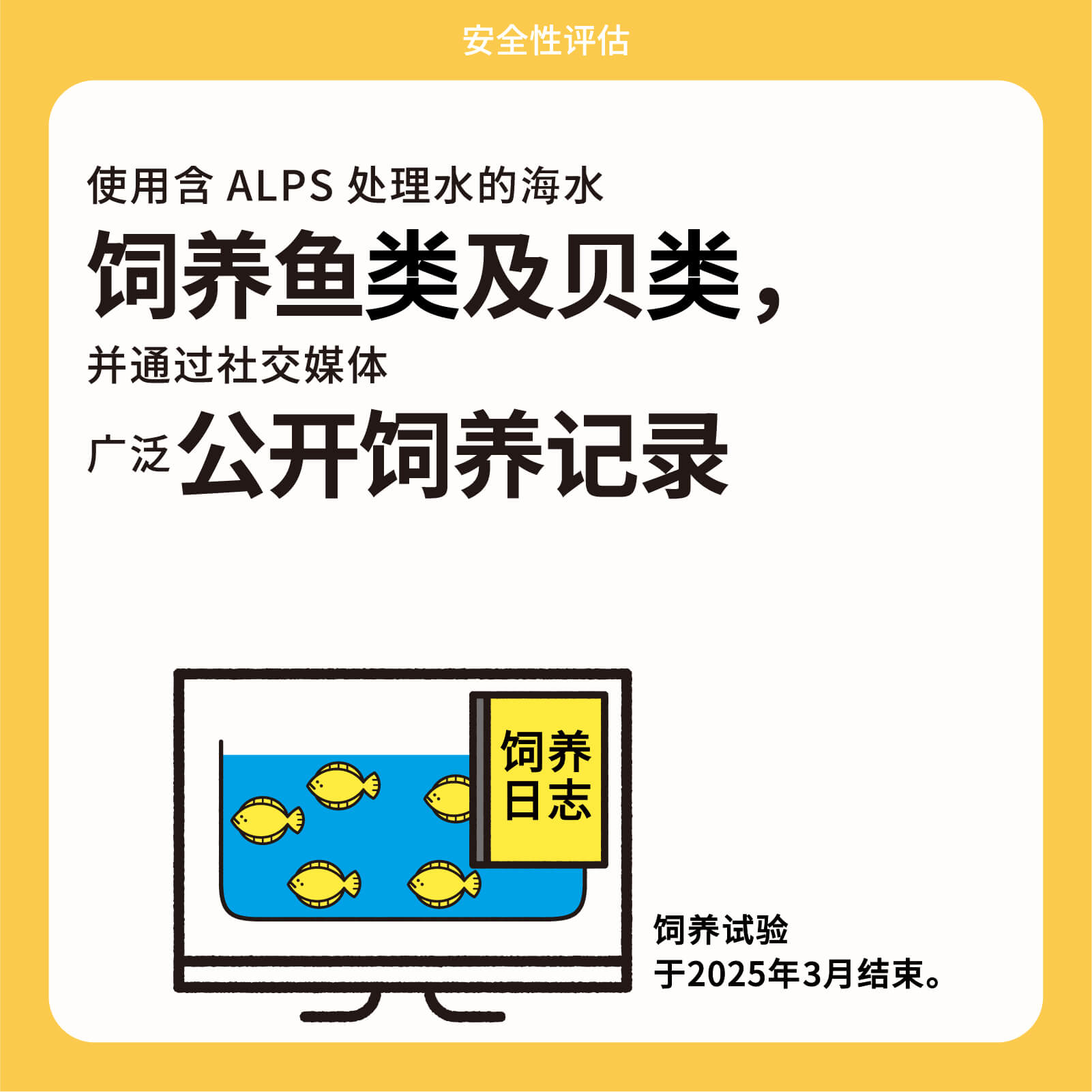 使用含ALPS处理水的海水 饲养鱼类及贝类，并通过社交媒体 广泛公开饲养记录