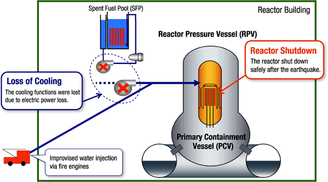 Diagrammatic Illustration