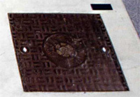 The Manhole