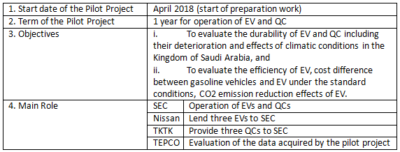 The following chart summarizes the pilot project plan