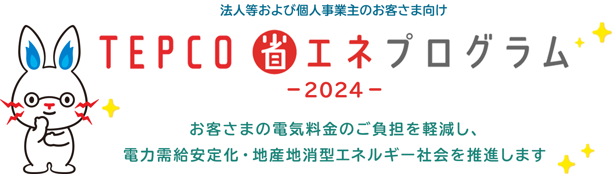 法人等および個人事業主のお客さま向け TEPCO 省エネプログラム -2024- お客さまの電気料金のご負担を軽減し、電力需給安定化・地産地消型エネルギー社会を推進します