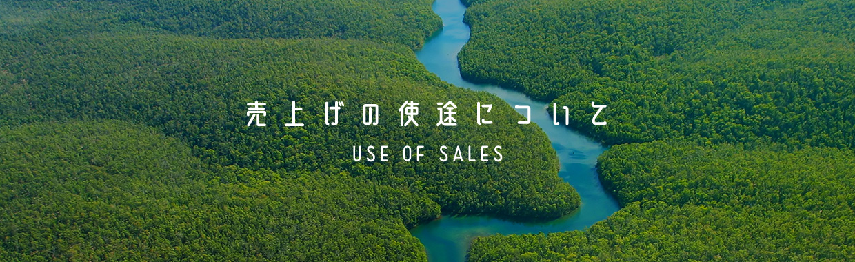 売上げの使途について