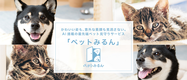 ペットみるん