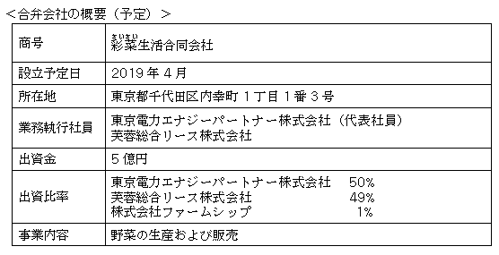 合弁会社の概要（予定）