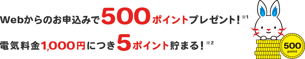 Webからのお申し込みで500ポイントプレゼント!