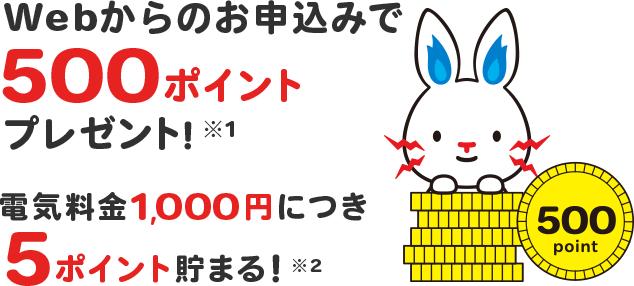Webからのお申し込みで500ポイントプレゼント!