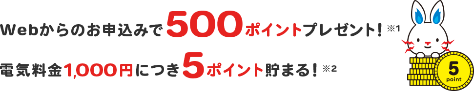 Webからのお申し込みで500ポイントプレゼント!