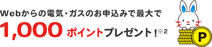 webからの電気・ガスのお申込みで最大で1,000ポイントプレゼント!