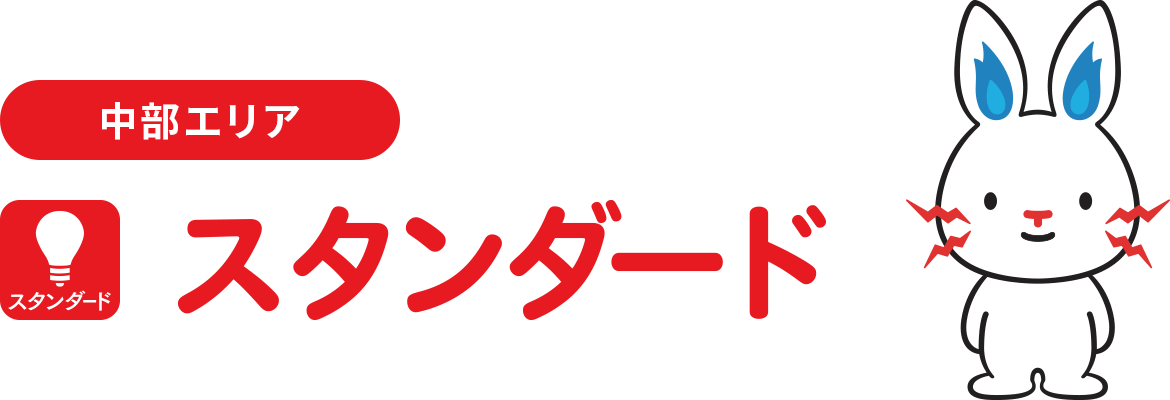 スタンダードプラン （1年契約/2年契約）