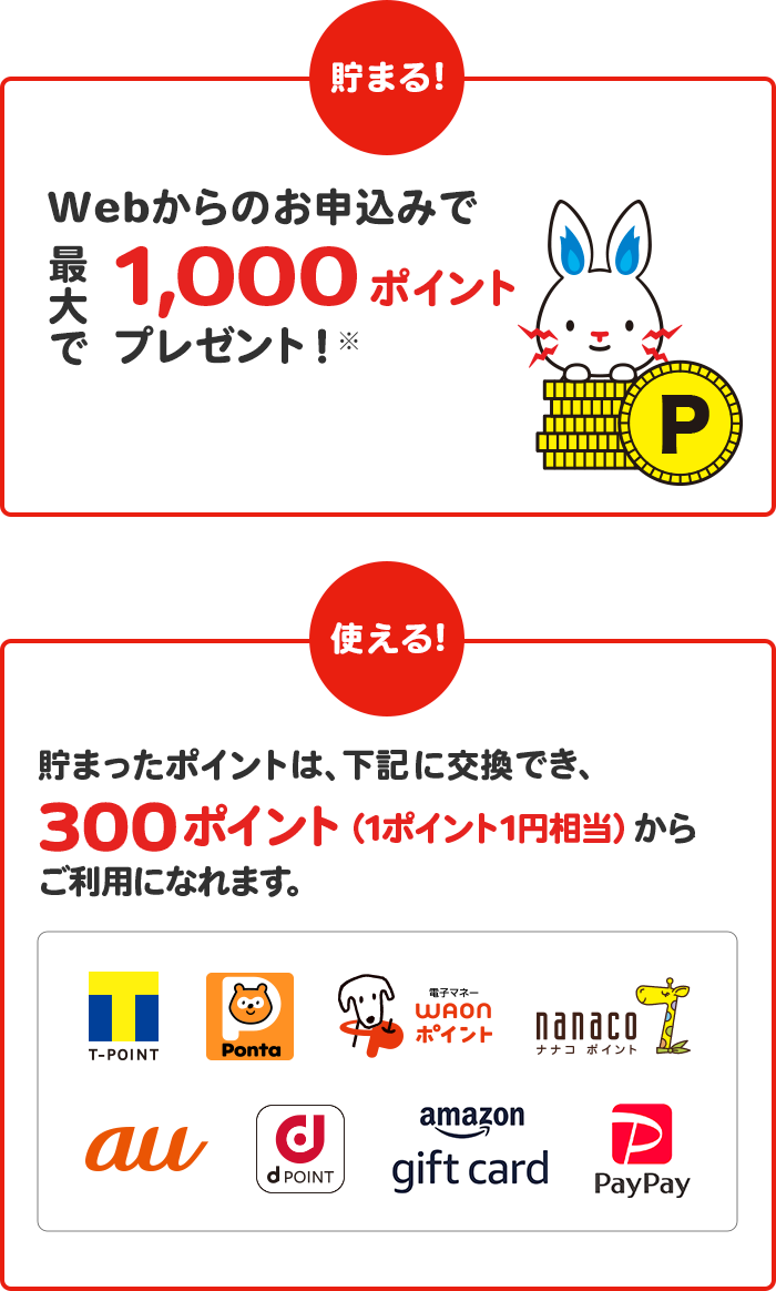 Webからの電気・ガスのお申込みで最大で1,000ポイントプレゼント!