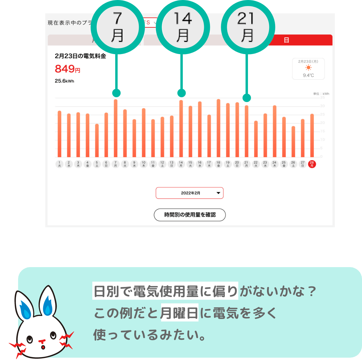 日別で電気使用量に偏りがないかな？この例だと月曜日に電気を多く使っているみたい。