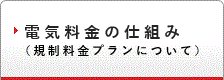 電気料金の仕組み（規制料金プランについて）