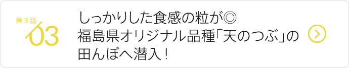 冷めても美味しいしっかりした粒が◎　福島県オリジナル品種「天のつぶ」の園地へ潜入！