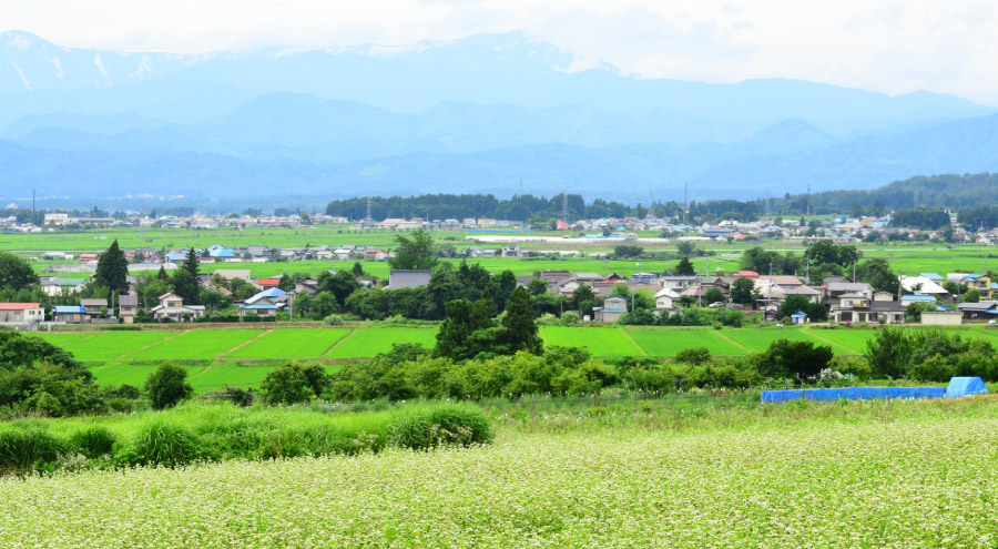 福島牛を、ブランド牛の最高峰に！第一話