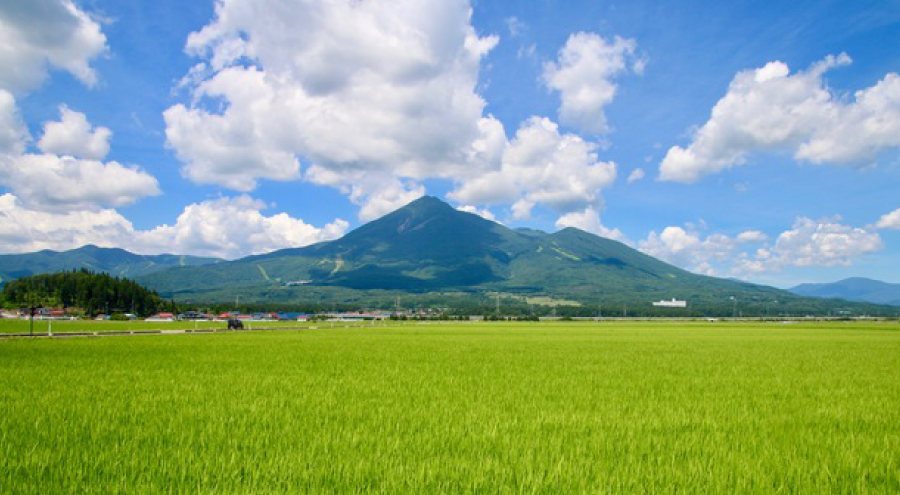 福島牛を、ブランド牛の最高峰に！第五話