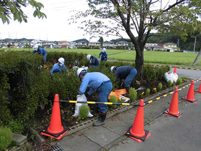 除染作業状況（植栽部）