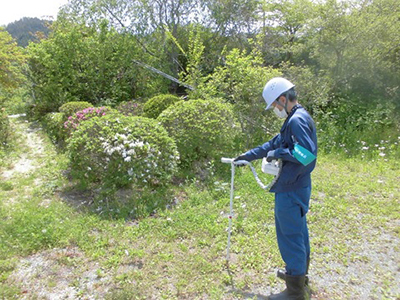 現地調査状況（庭木付近）
