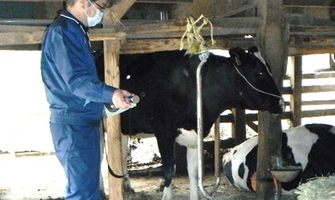 原乳の出荷制限解除に向けたモニタリングへの対応