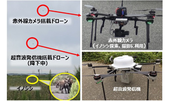 超音波発信機を搭載したドローンによる新たなイノシシ対策実証試験