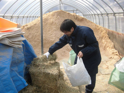 畜産再開に向けた飼料のサンプル採取状況