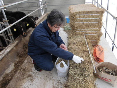 飼料のサンプル採取状況