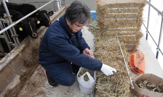 畜産再開後の飼養状況確認調査への協力