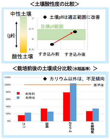 土壌酸性度・栽培前後の土壌成分比較