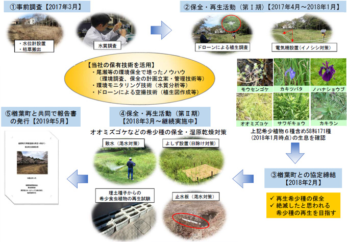 これまでの再生・保全の取り組み内容