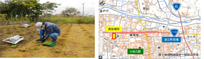 苗の植え込み作業風景【2020年10月】　実施場所